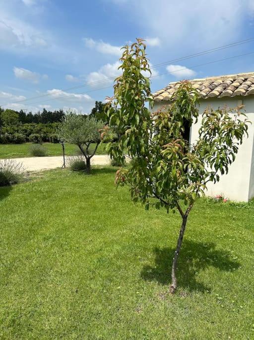 Villa Des Jacinthes Тараскон Екстериор снимка